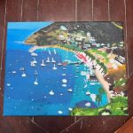 Catalina Island ? 11x14
